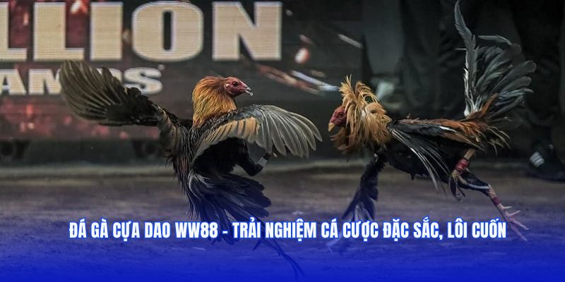 Đá gà cựa dao WW88